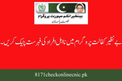 Check List Of Ineligible Peoples In Benazir Kafalat Program