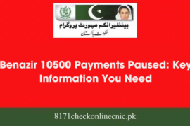 Benazir 10500 Payments Paused: Key Information You Need